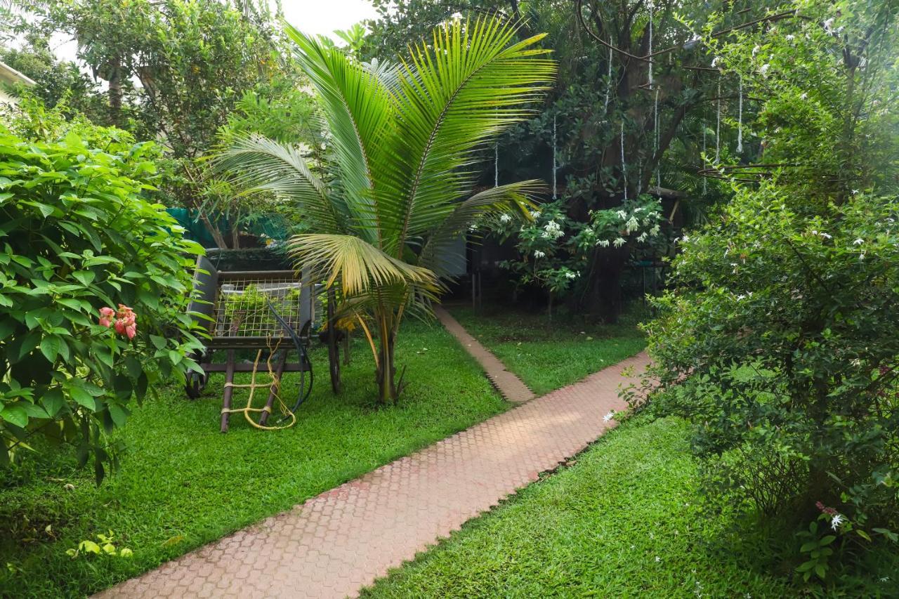 Sanidhya Resort Alībāg Exterior foto